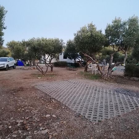Отель Camp Kopito Хвар Экстерьер фото